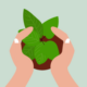 ISO 14001