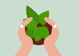 ISO 14001